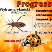progress-lodz.pl/wp-admin